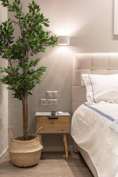 A11 Pristine & Comfy Studio Near Plaka & Parthenon Athen Eksteriør bilde